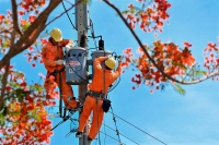 Tại sao chúng ta không ngầm hóa hết dây điện?